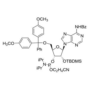 N-苯甲?；?5'-O-(4,4-二甲氧基三苯甲基)-2'-O-[(叔丁基)二甲基硅基]腺苷-3'-(2-氰基乙基-N,N-二異丙基)亞磷酰胺