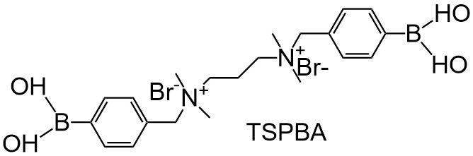 TSPBA 22 