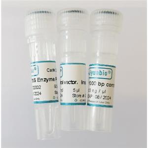 Qizyme Multi One Step Cloning Kit