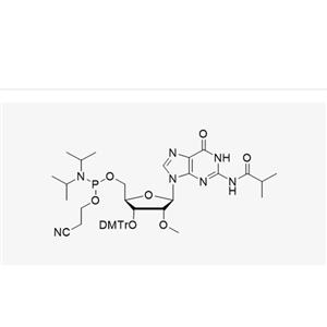 3'-DMT-2'-OMe-G(iBu)-CE Reverse