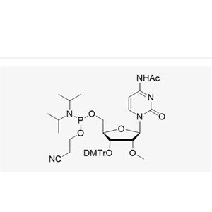 3'-DMT-2'-OMe-C(Ac)-CE Reverse