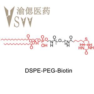 二硬脂?；字Ｒ掖及?聚乙二醇-生物素