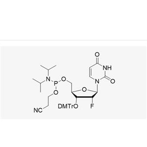 3'-DMT-2'-F-dU-CE Reverse