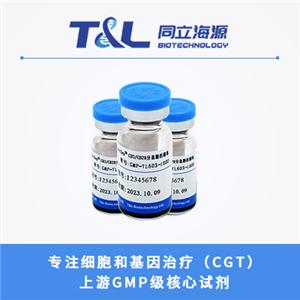 ActSep? CD3/CD28激活磁珠