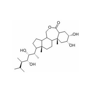 24-表油菜素內(nèi)酯 78821-43-9