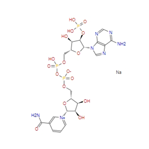 β-煙酰胺腺嘌呤二核苷酸磷酸/輔酶II  NADP  24292-60-2