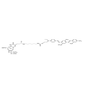 BHQ-1-dT Amidite