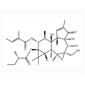 抗腫瘤活性分子