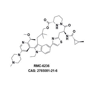 RMC-6236，一種針對泛KRAS突變抑制劑 