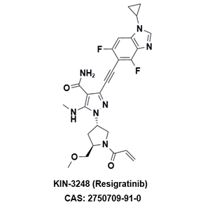 KIN-3248，一種針對泛FGFR突變的第二代抑制劑