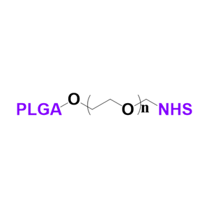 PLGA-PEG-NHS聚乳酸-羥基乙酸共聚物-聚乙二醇-活性酯