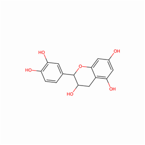表兒茶素