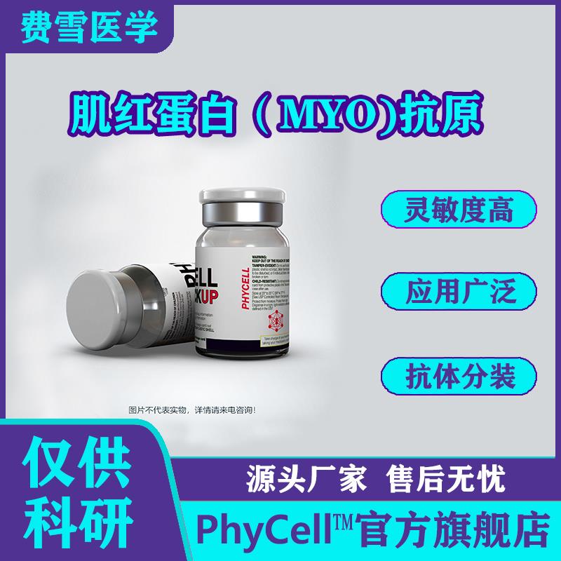 肌紅蛋白（Myoglobin，MYO)抗原.jpg