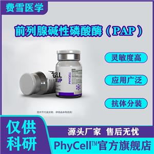 供應(yīng)前列腺堿性磷酸酶（PAP），前列腺酸性磷酸酶（PACP）