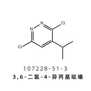 3,6-二氯-4-異丙基噠嗪107228-51-3 瑞司美替羅中間體