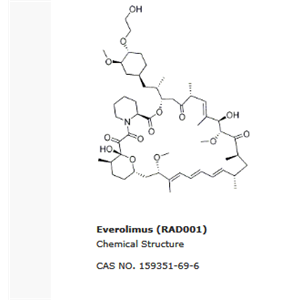 Everolimus (RAD001)|mTOR抑制劑