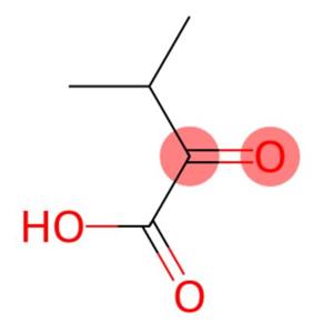 二甲基丙酮酸