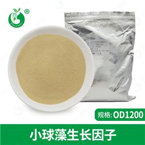 小球藻生長(zhǎng)因子 綠藻生長(zhǎng)因子 綠藻精 CGF OD1200 小球藻提取物