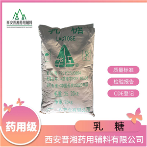 乳糖藥用輔料  符合20版藥典標(biāo)準(zhǔn) 一瓶可定資質(zhì)齊全