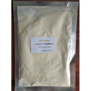 巴西棕櫚蠟-藥用輔料，符合20版藥典，包衣材料和釋放阻滯劑，1kg