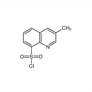 3-甲基-8-喹啉磺酰氯 74863-82-4