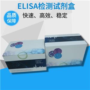  病毒基因組DNA/RNA提取試劑盒（離心柱型） 