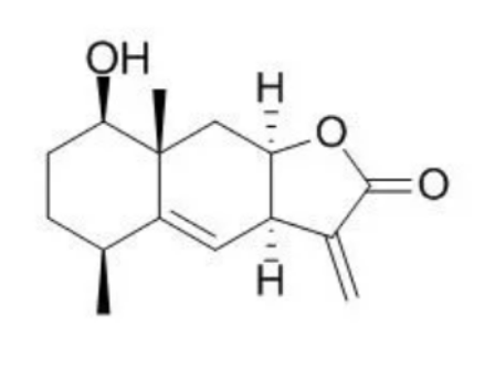 1β-羥基-土木香內酯