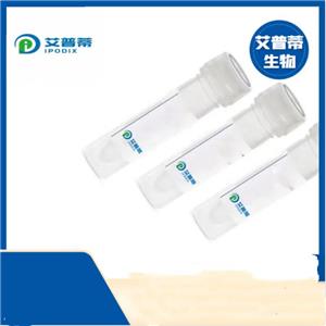 CDCP1抗體；CDCP1 antibody 艾普蒂生物              