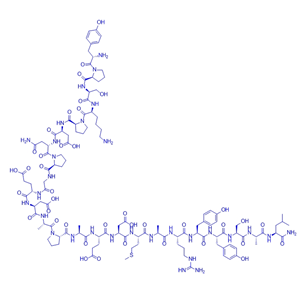 神經(jīng)肽Y片段1-24/131448-51-6/Neuropeptide Y (1-24) amide (human, rat)