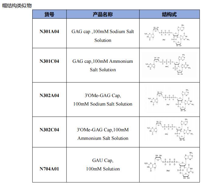 帽結構類似物.png