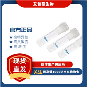 BNIP3L抗體；BNIP3L antibody  艾普蒂生物