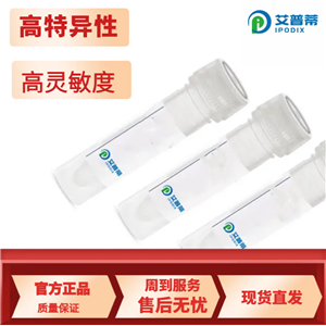 MARK4抗體；MARK4 antibody  艾普蒂生物