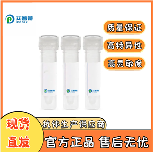 SART3抗體；SART3 antibody 艾普蒂生物