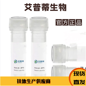 TRPV5抗體；TRPV5 antibody  艾普蒂生物