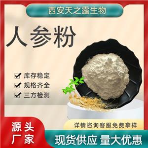 廠家直供 人參粉 人參提取物 人參皂甙 人參粉原料 超微粉 超細粉