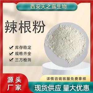 辣根粉99% 辣根提取 食品級辣根素濃縮速溶粉 調味品原料廠家現(xiàn)貨