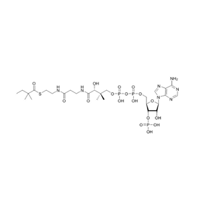 2,2-二甲基丁酰輔酶A（鈉鹽）2,2-dimethyl-butyryl-CoA (sodium salt)