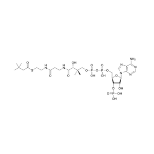 3,3-二甲基丁酰輔酶A  3-3-dimethyl-butyryl-CoA-sodium-salt