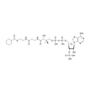 環(huán)己酰輔酶A（鈉鹽）Cyclohexanoyl-CoA-sodium-salt 