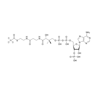 D3-乙酰輔酶A（鈉鹽）D3-Acetyl-CoA-sodium-salt