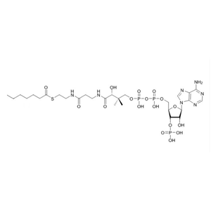 庚酰輔酶A（鈉鹽）Heptanoyl-CoA-sodium-salt