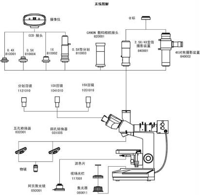 成都金相顯微鏡 LH2000系列正置金相顯微鏡 正置金相顯微鏡報(bào)價(jià)