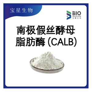 南極假絲酵母脂肪酶B（CALB，固定化酶）