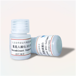 重組人源化XVII型膠原蛋白（Recombinant Humanized XVII Collagen）