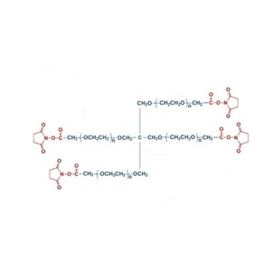 四臂聚乙二醇琥珀酰亞胺乙酸酯