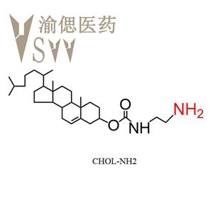 膽固醇-氨基