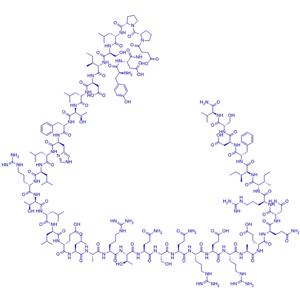 (Tyr0)-Urocortin (rat)/187111-93-9/激動(dòng)劑多肽(Tyr0)-Urocortin (rat)