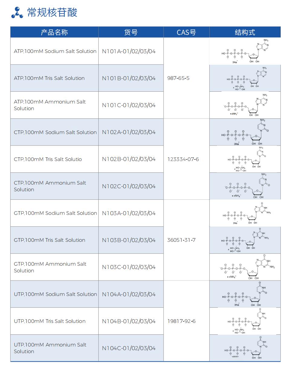 常規(guī)核苷酸.png