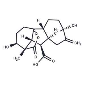 化合物 Gibberellin A1|T41310|TargetMol