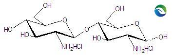 1.殼二糖(圖1)